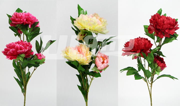 ���滨ĵ��