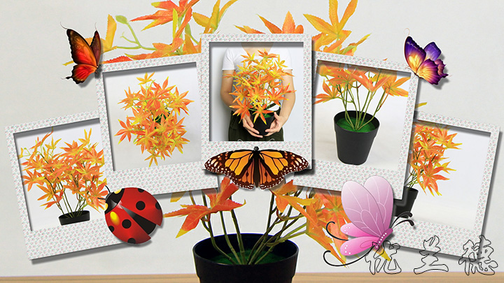 ����С���Լt���~