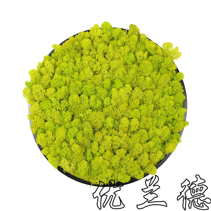 �������̦�\�����b�