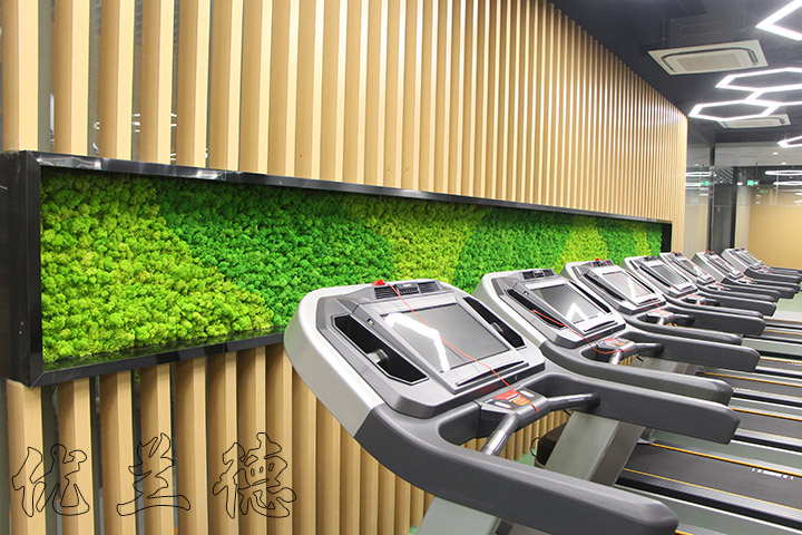 ����̦�\�bĽ�����