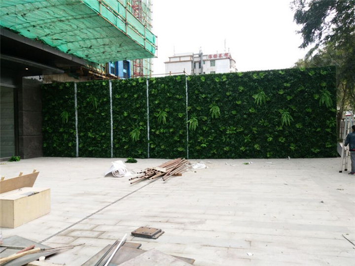 �������ֲ�����