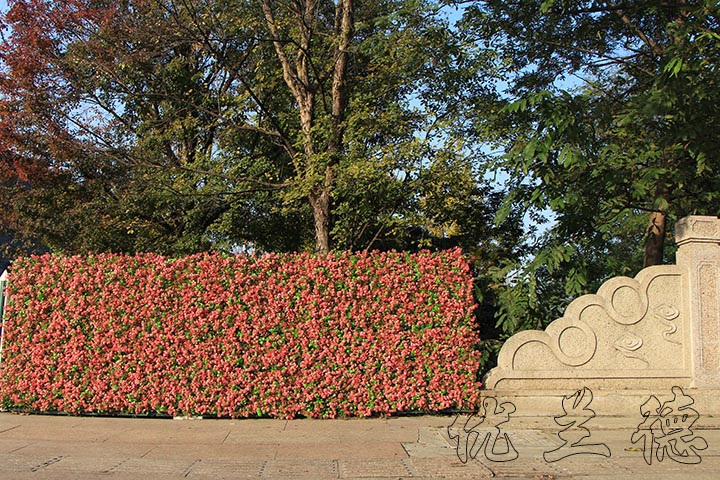 ����ֲ�����