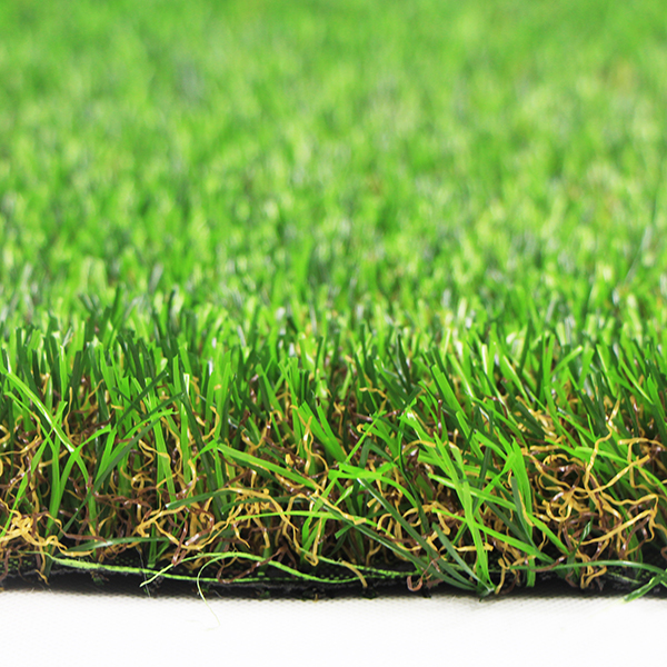 ����ɫ�����ƺ