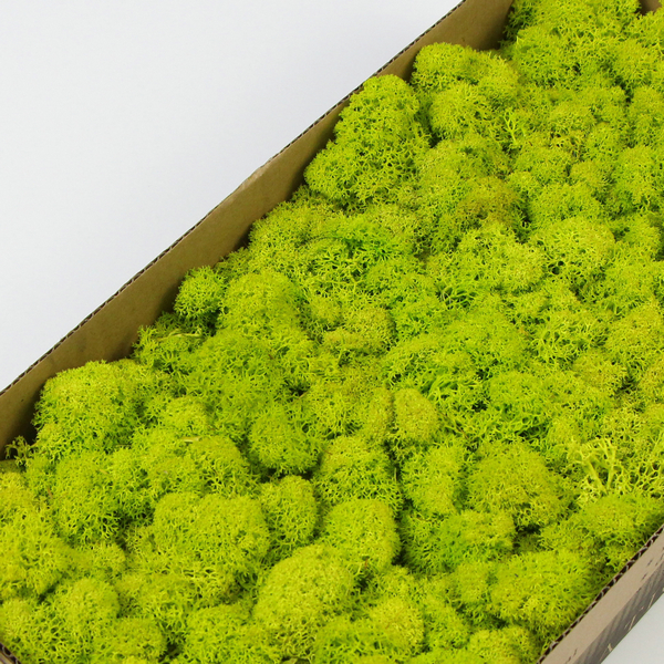 �\���G����̦�\