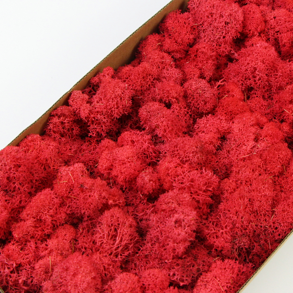 �tɫ����̦�\