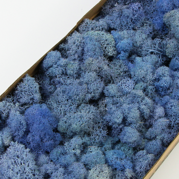 �{ɫ����̦�\