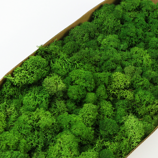 �Gɫ����̦�\