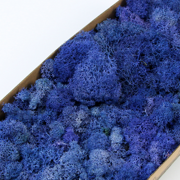 ���{ɫ����̦�\