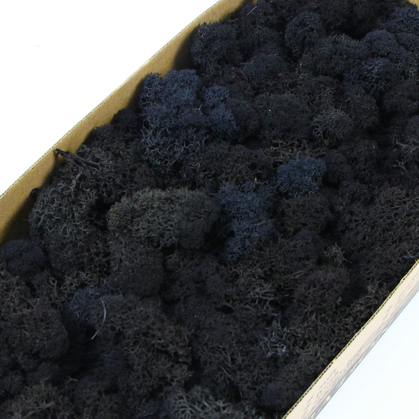 ��ɫ����̦�\