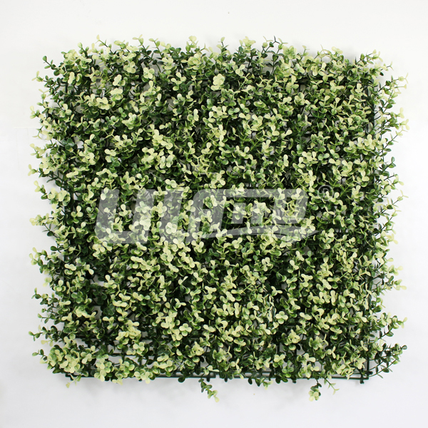 ����ֲ���L�~���m��