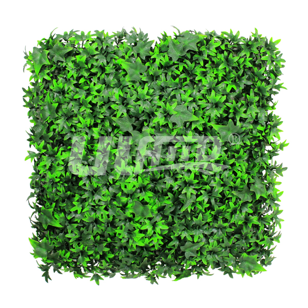 ����ֲ�ﳣ����