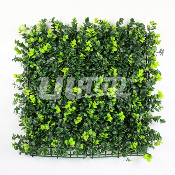 ����ֲ�������