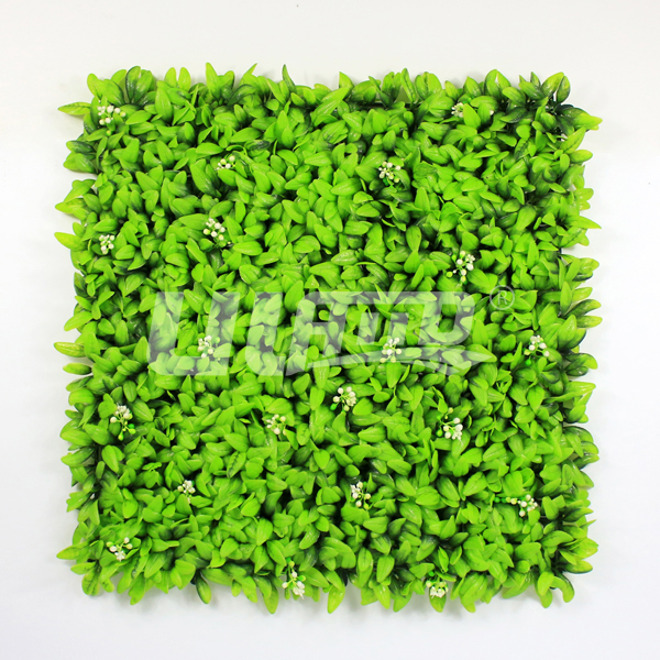 ����ֲ������