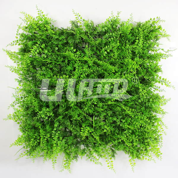 ����ֲ���Pβާ