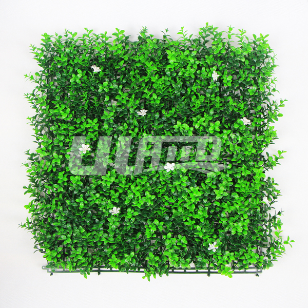 ����ֲ�����(sh��)��