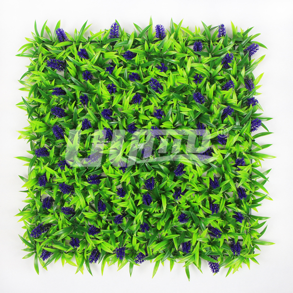 ����ֲ��޹�²�