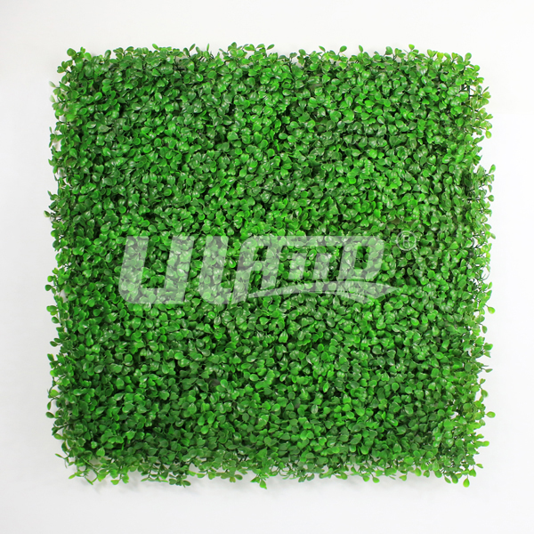 ����ֲ�����m�\�G