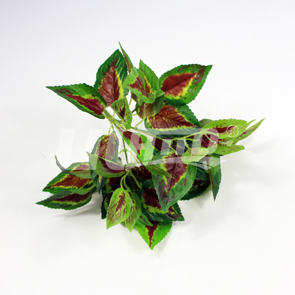 ����ֲ��t���K