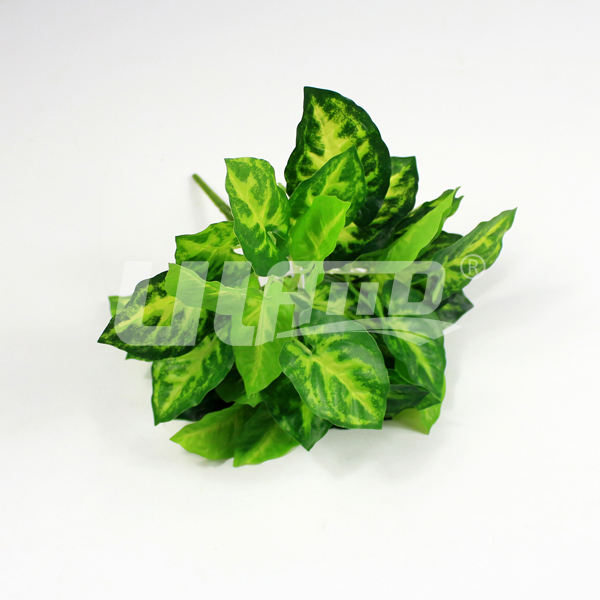 ����ֲ�������~