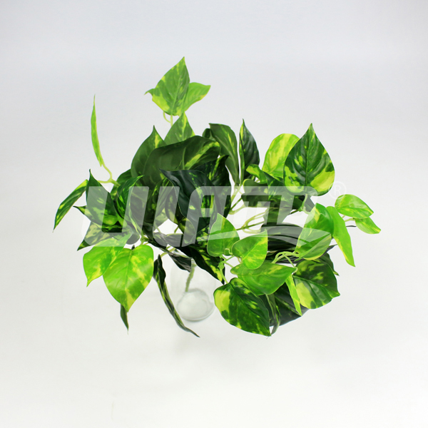 ����ֲ���i���~