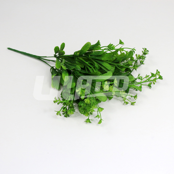 ����ֲ���_�h��