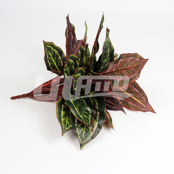 ����ֲ����~�f����