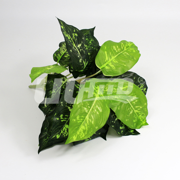 ����ֲ�ﻨ�~�f����