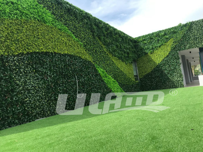 ����ֲ����̰���_ĳ�Ƶ�ͥԺ�≦