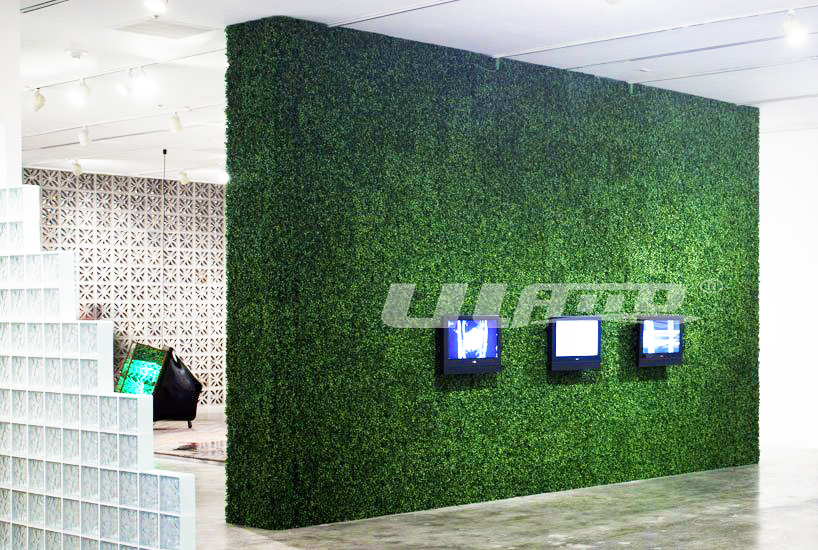 ����ֲ����̰���_ĳ����ǰ�_