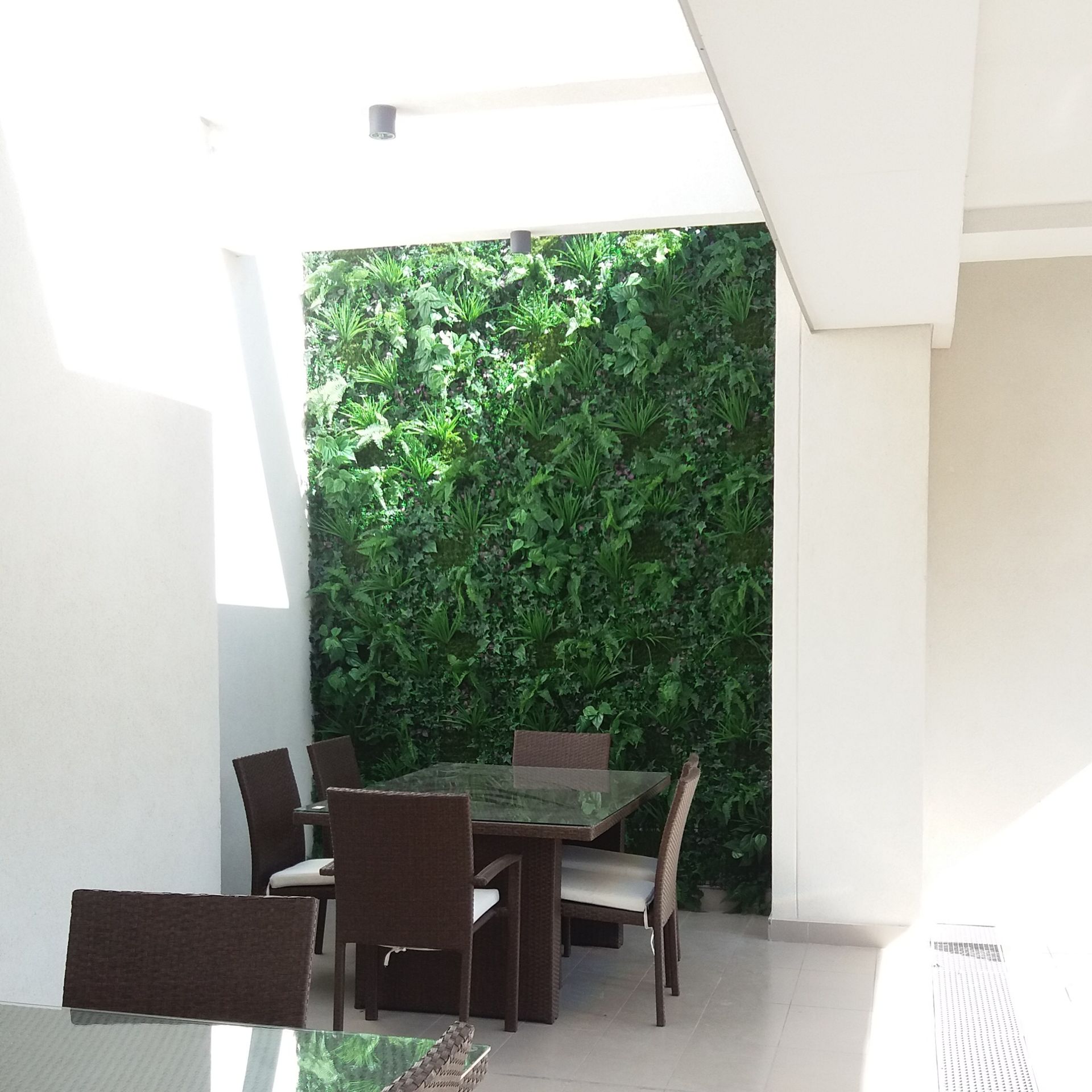 ����ֲ����̰���-Ӣ��ĳ�Ƶ�������w�G��