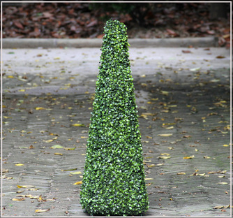 �����_����