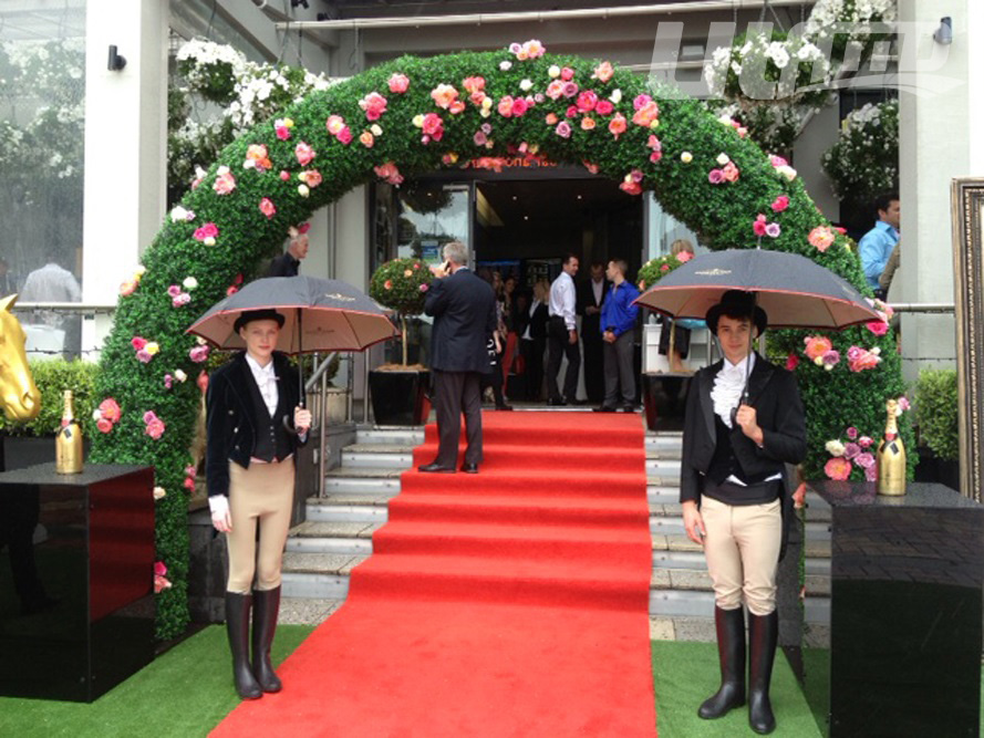 ����ֲ�ﰸ��Ч���D_����ֲ�ﹰ�T