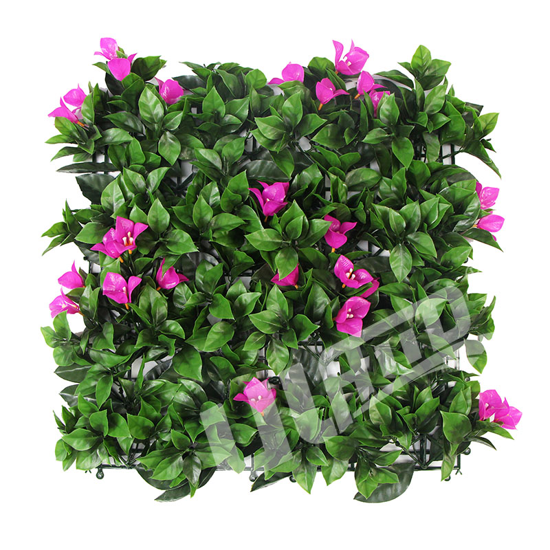 ����ֲ��A099