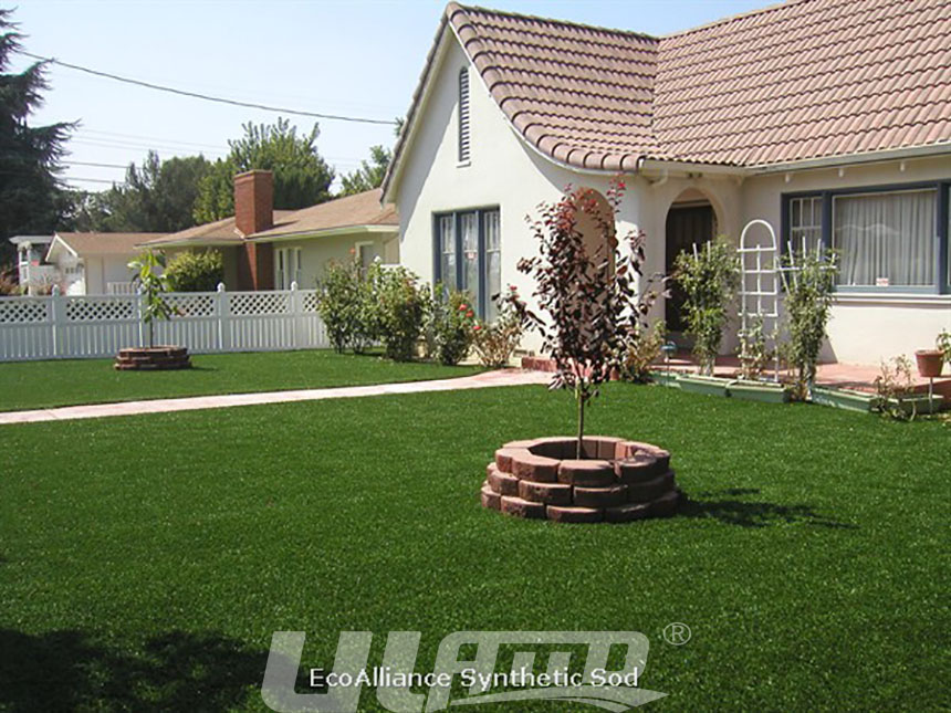 ͥԺ��b�����ƺ