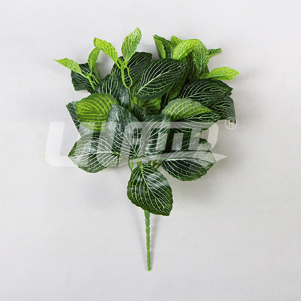 ����ֲ��W(w��ng)�y��