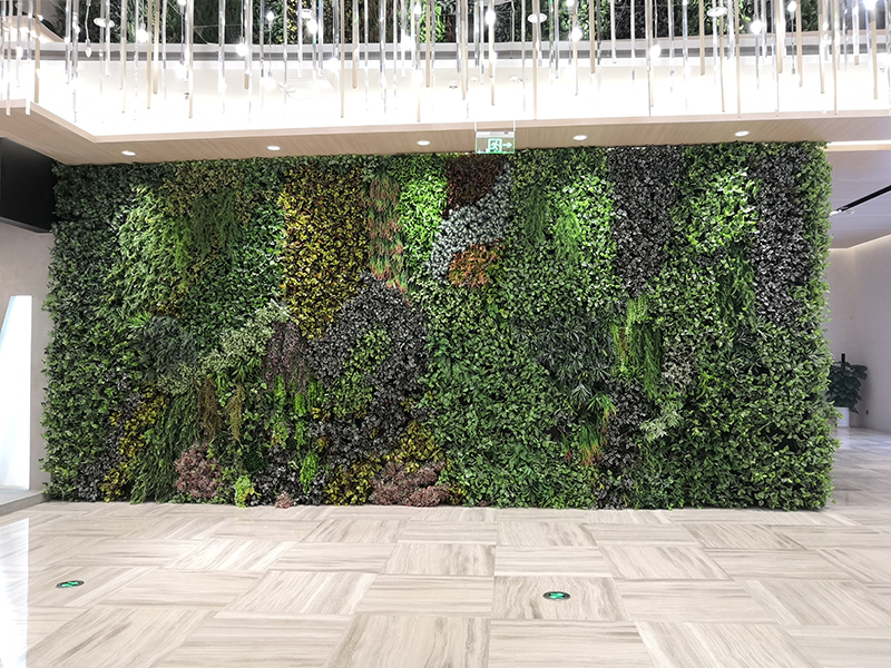 �̈��҃ȷ���ֲ�