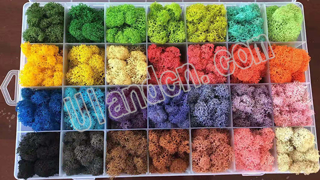 ����̦�\�ɫ��ȫ