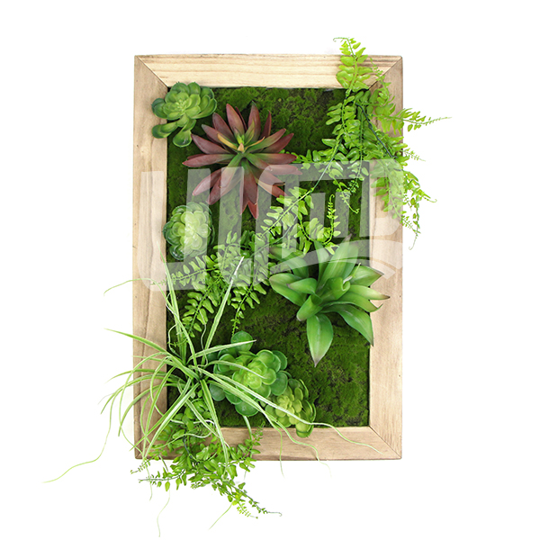 �ڒ��������̦�\