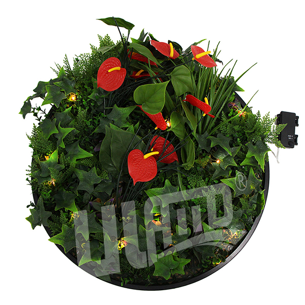 �ڒ�A��LED����ֲ��