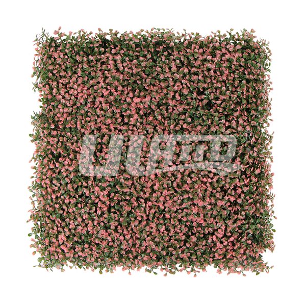 ����ֲ�����m��ɫ