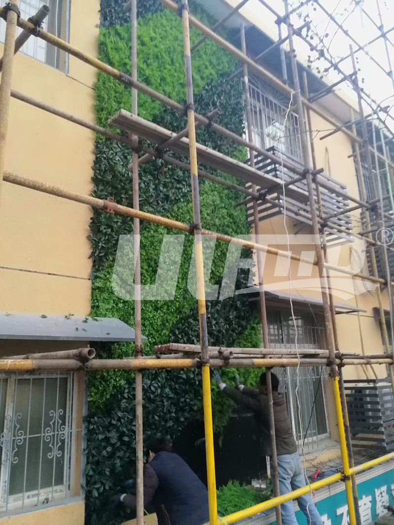 �������ֲ����̰���_�ؽ��T�����