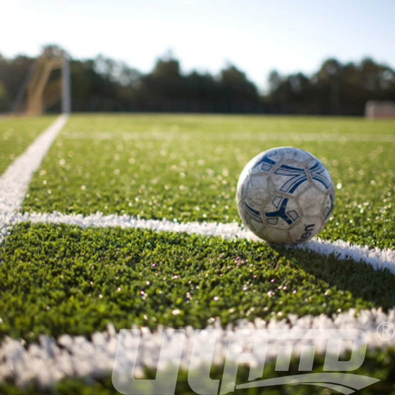 11��������������ƺ���̰���