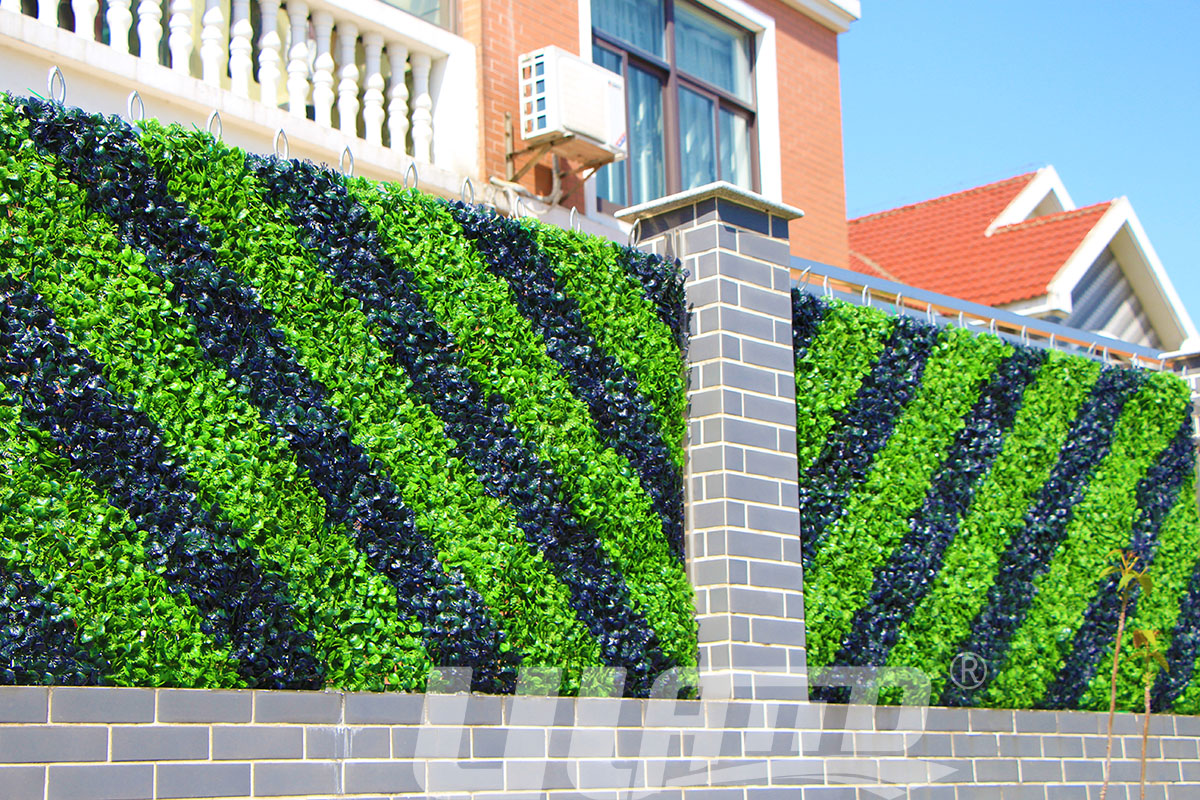 ����ֲ�����������Gֲ����