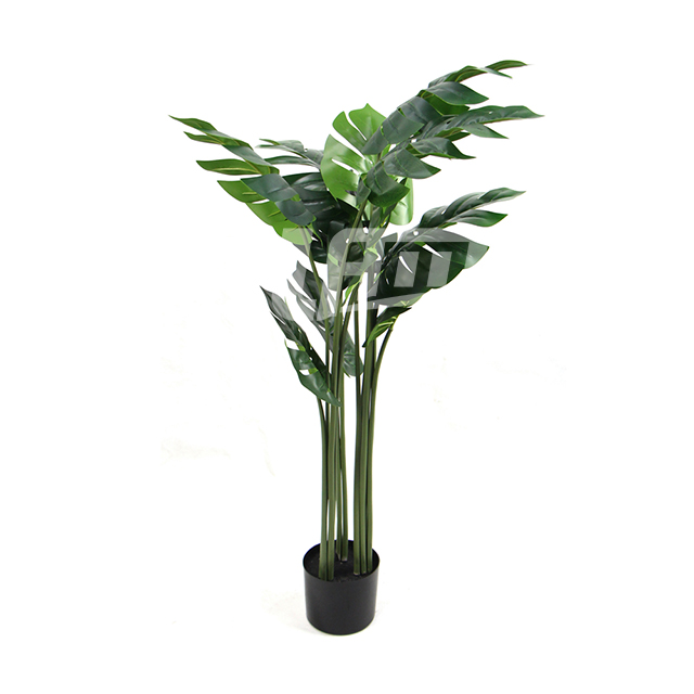 ����ֲ�����Ԙ�������