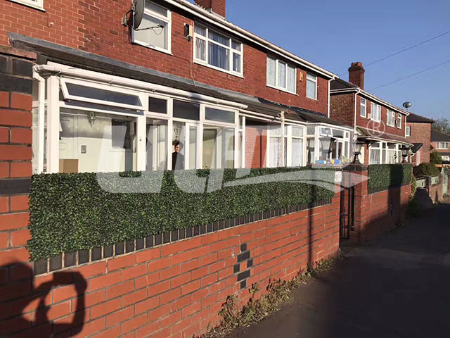 ���ھG��ֲ��