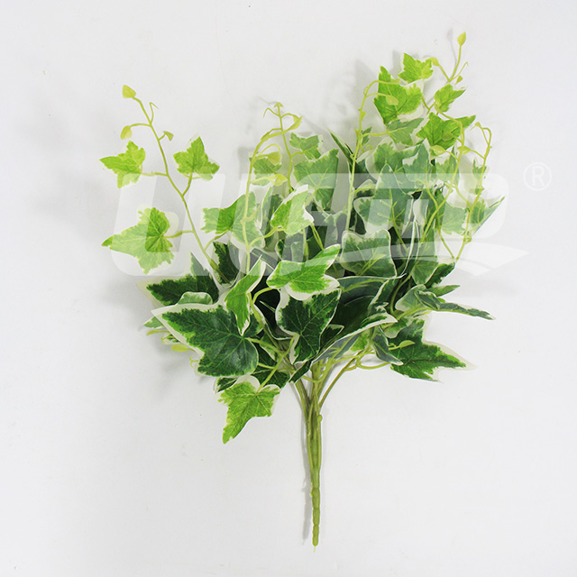 ����ֲ���߅�ع��~