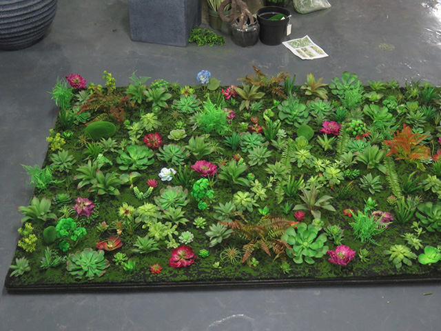 ����ֲ�