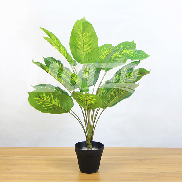 �������ԾG�}