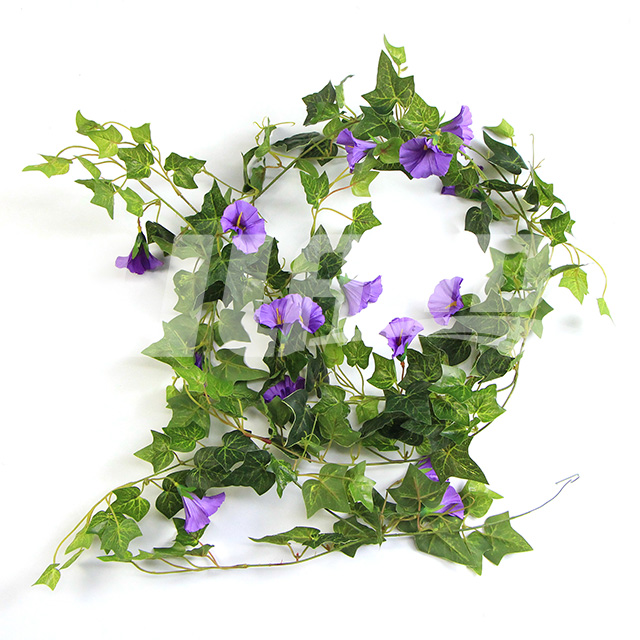 �����ٗl��ɫ��ţ��