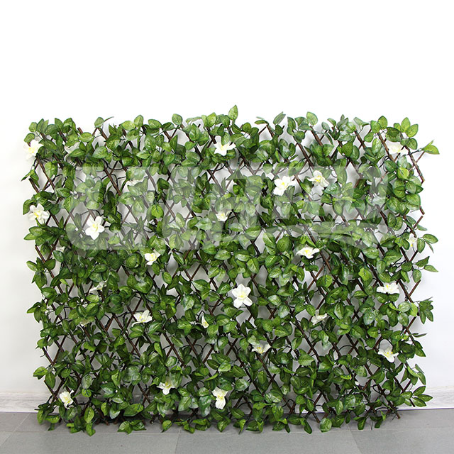 ������ֲ��Ŀ���s�����l�h�ʣ�����